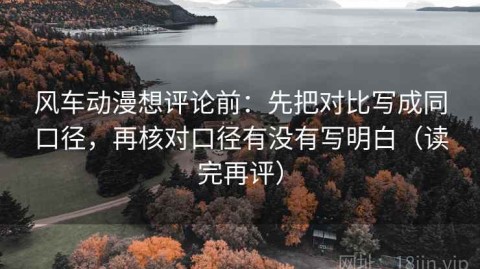 风车动漫想评论前：先把对比写成同口径，再核对口径有没有写明白（读完再评）