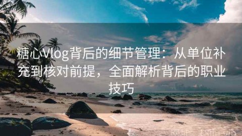 糖心Vlog背后的细节管理：从单位补充到核对前提，全面解析背后的职业技巧