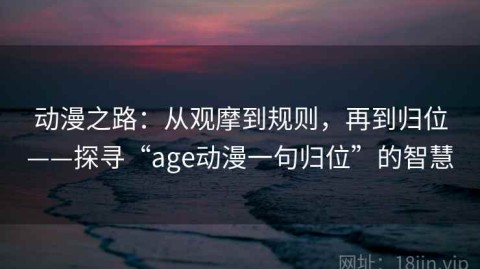 动漫之路：从观摩到规则，再到归位——探寻“age动漫一句归位”的智慧