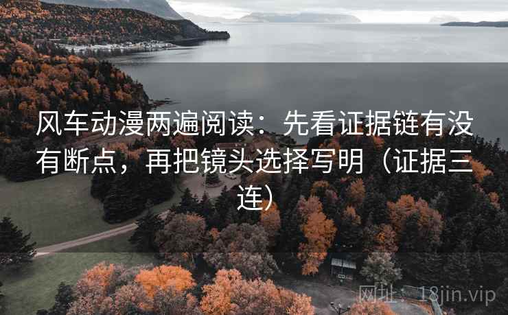 风车动漫两遍阅读：先看证据链有没有断点，再把镜头选择写明（证据三连）