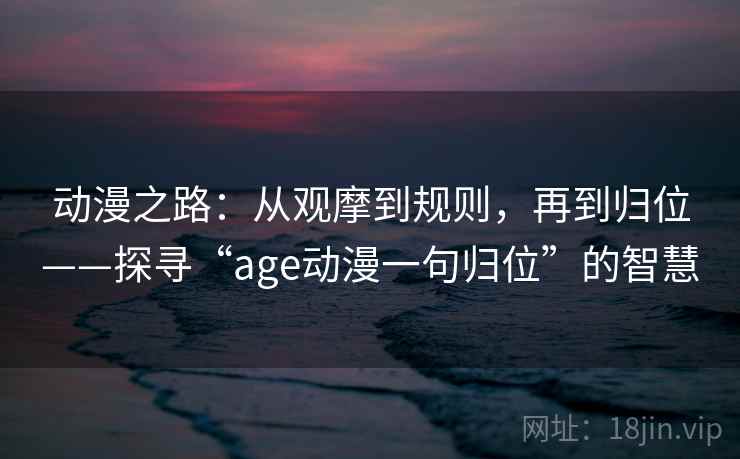 动漫之路：从观摩到规则，再到归位——探寻“age动漫一句归位”的智慧