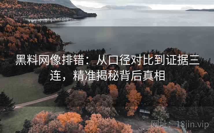 黑料网像排错：从口径对比到证据三连，精准揭秘背后真相